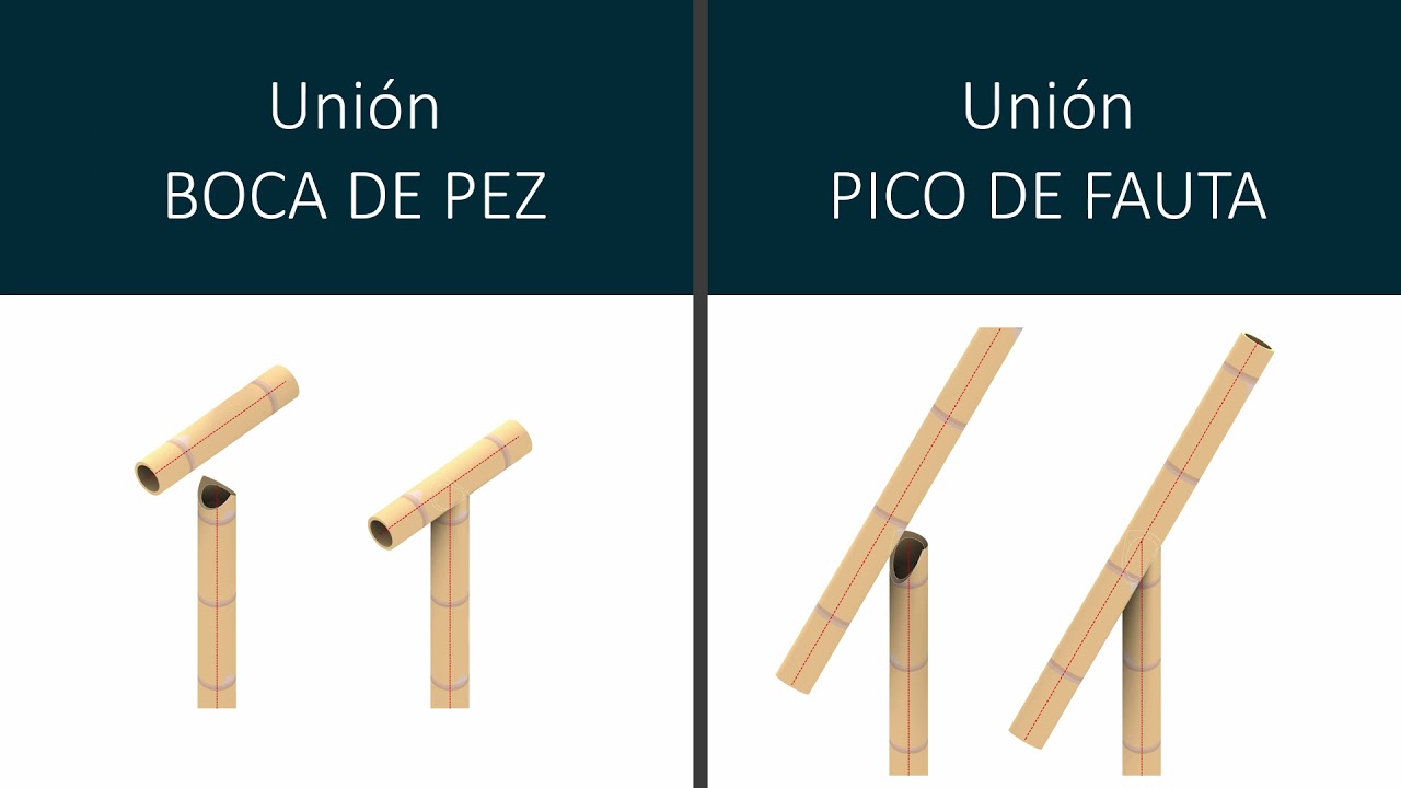 Construcciones con bamb&uacute; Corte Preliminar