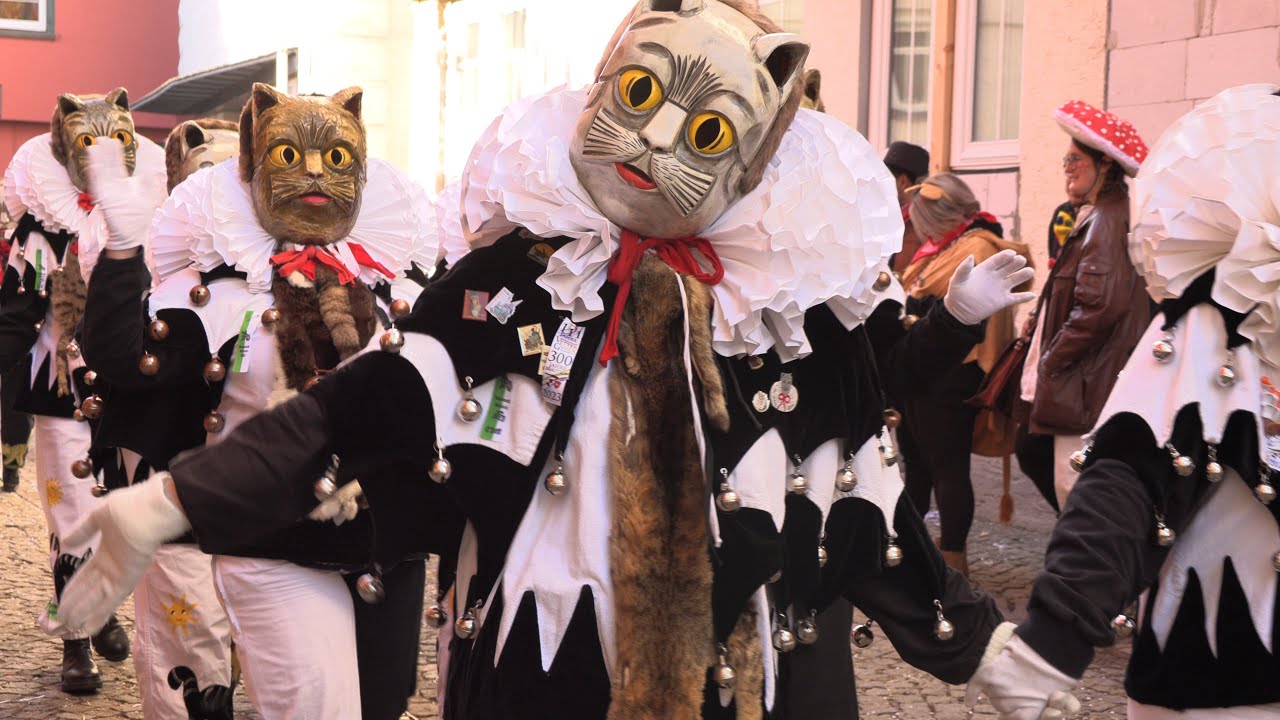Fasnet, Rosenmontag Umzug Messkirch Teil4