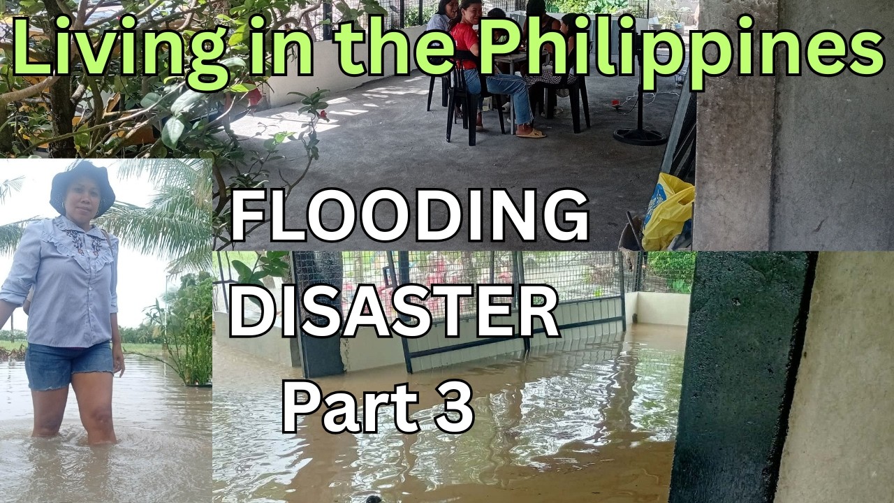 Back to Square One: The Flooding Disaster that ruined our progress, Part 3 of our renovation series.