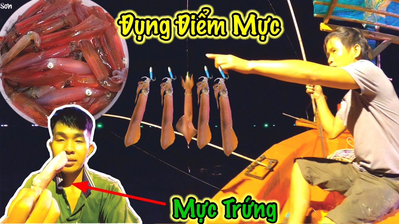 Đụng Điểm Mực Trứng, Kéo Mực Liền Tay | Thưởng Thức Mực Trứng Trên Biển | Sơn Phú Quốc