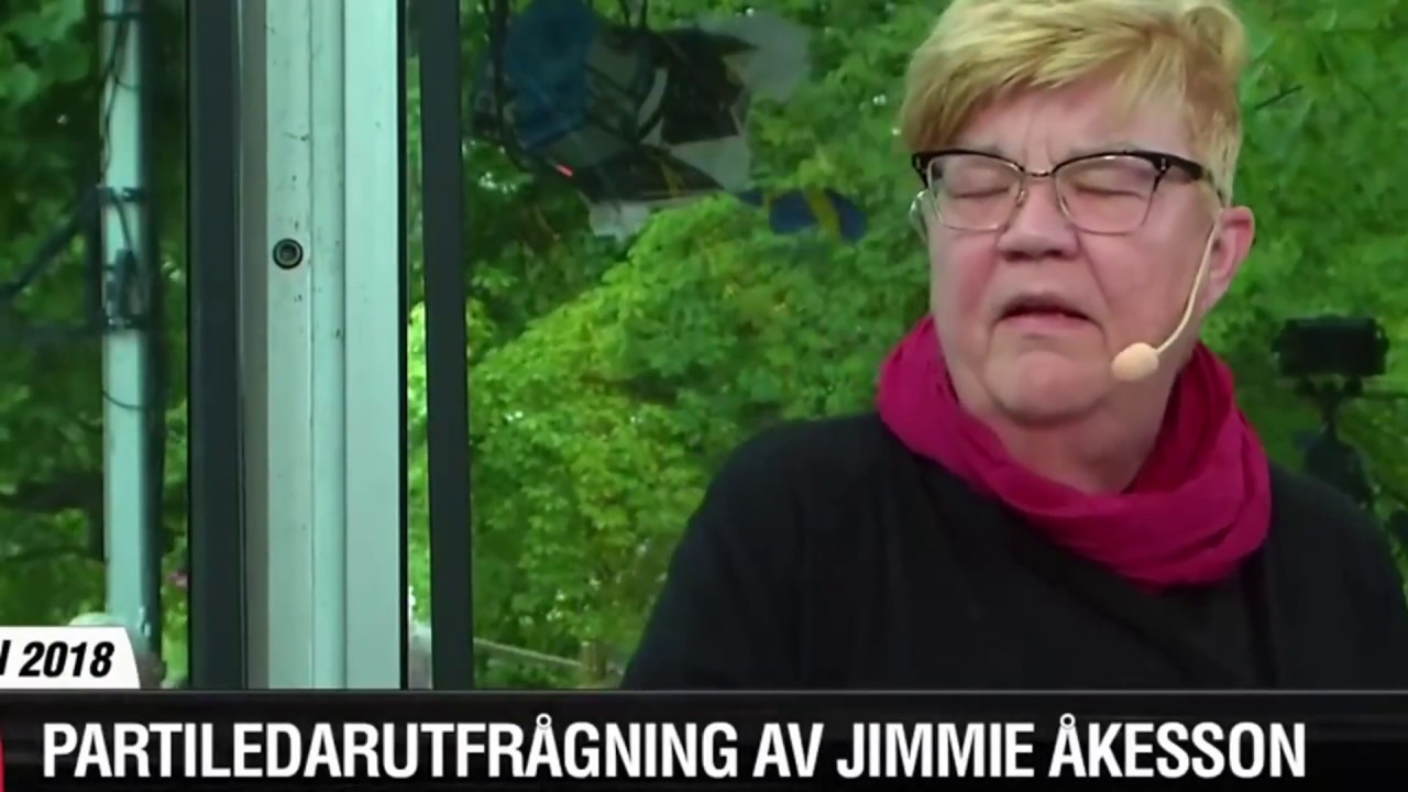 Lena Mellin har svårt att formulera någon bra fråga till Jimmie Åkesson