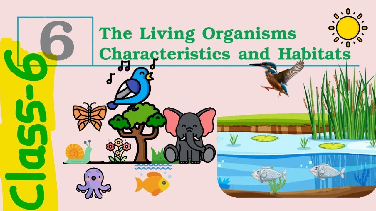 Class 6: The Living Organisms Characteristics and Habitats