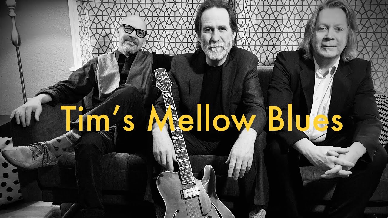 Tim Lerch Trio-  Lost Mind Blues