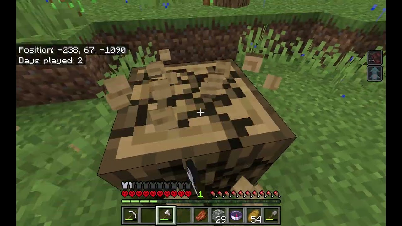 Minecraft
