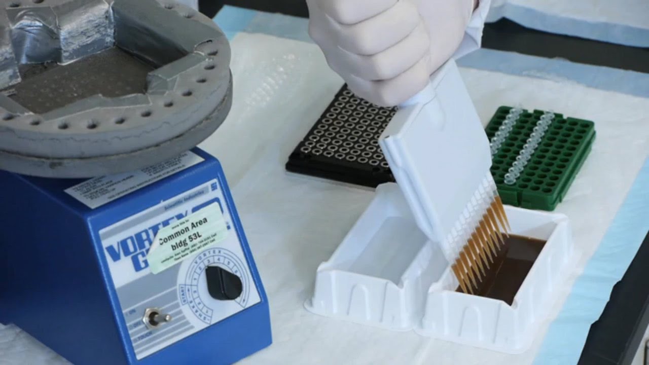 HaloPlex: AMPure Purification