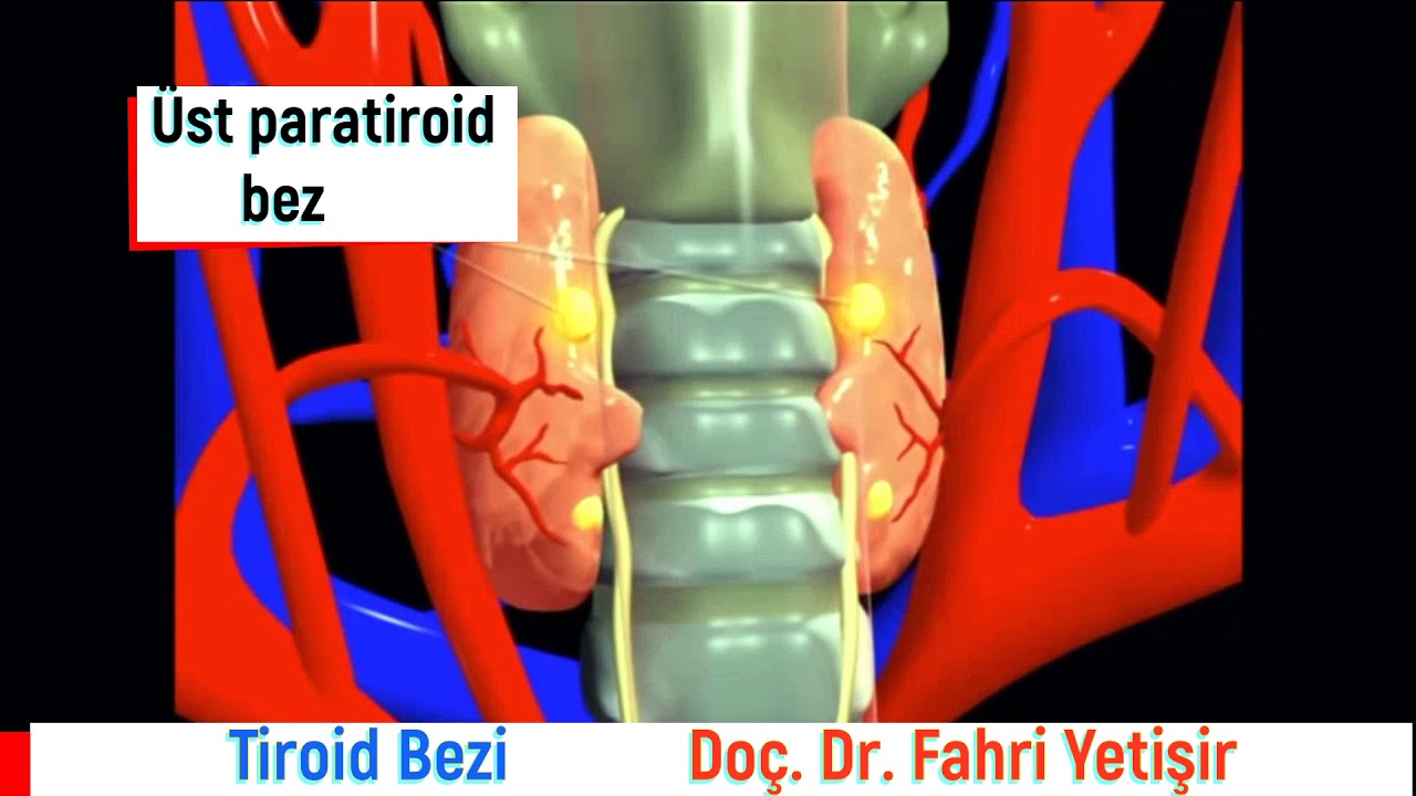 Tiroid bezi