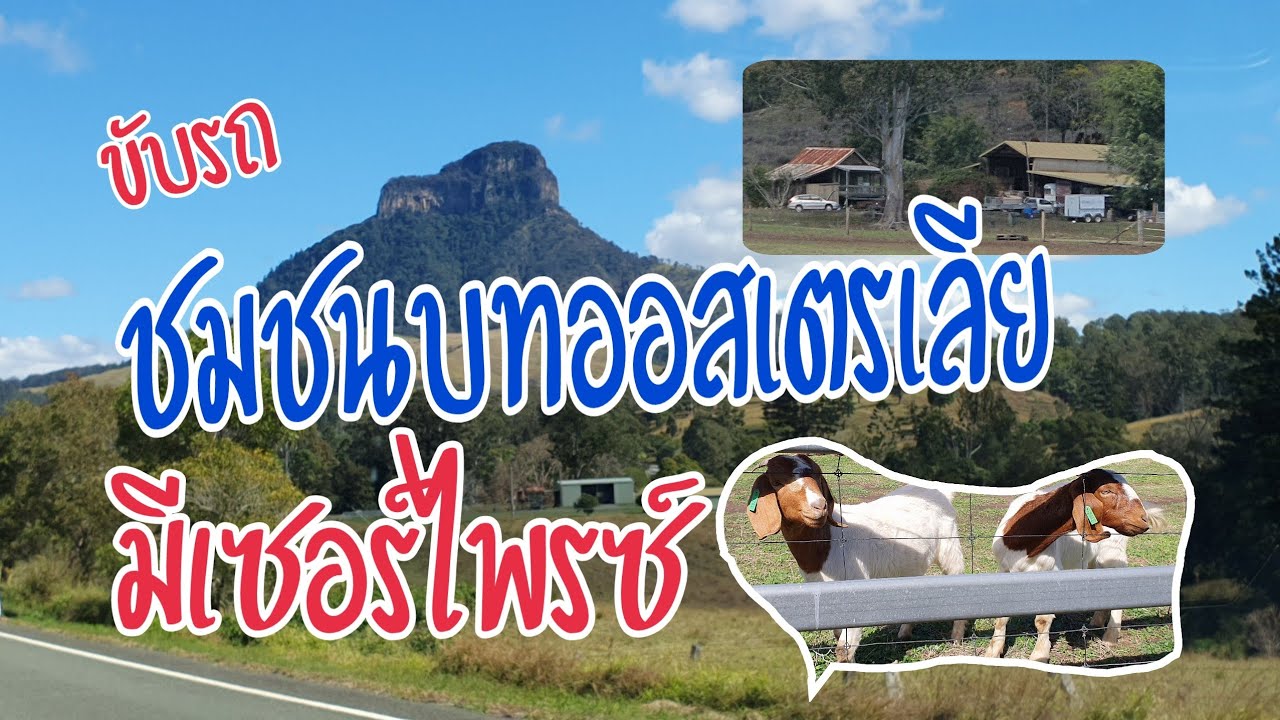 VLOG20# 086 ชนบทออสเตรเลีย บรรยากาศเป็นแบบไหน