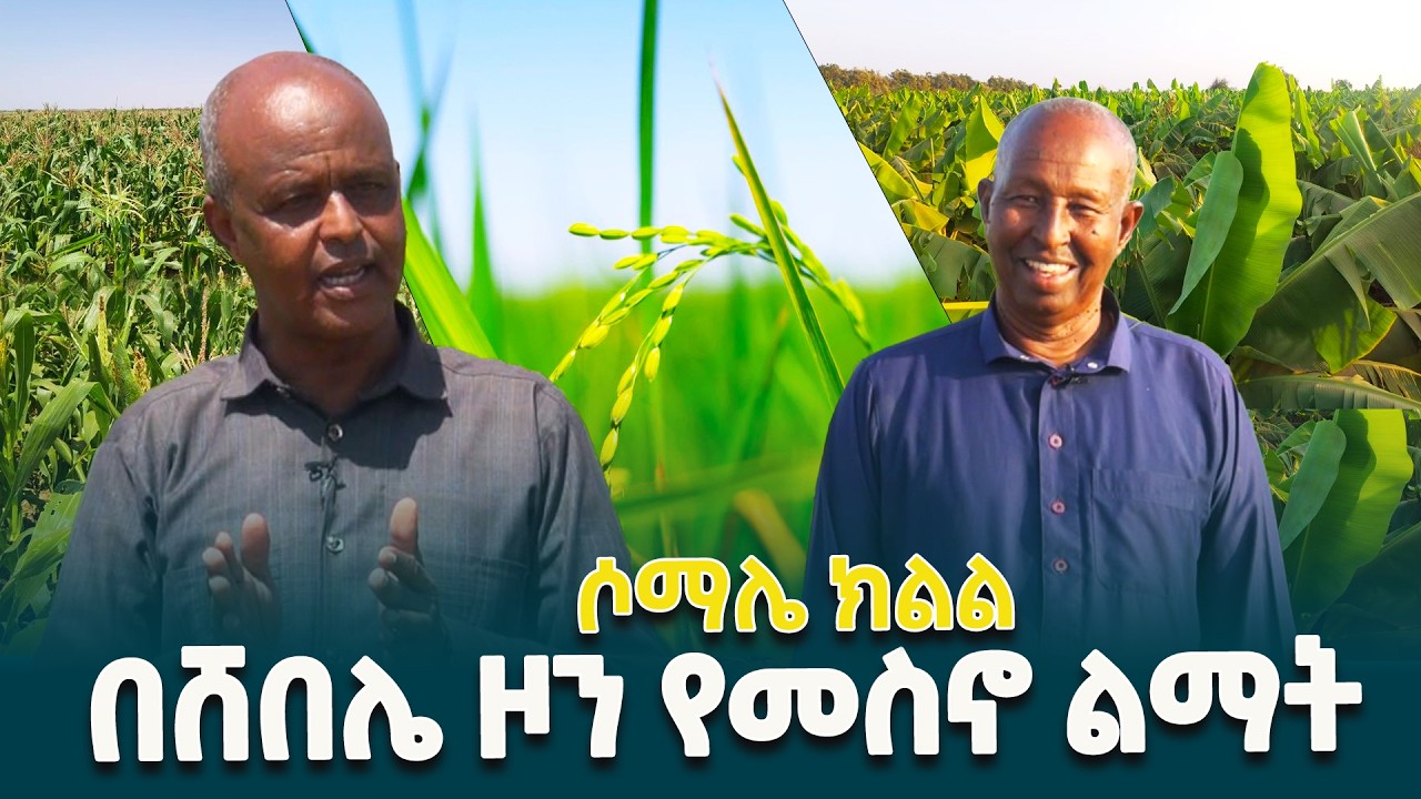 በሶማሌ ክልል ሸበሌ ዞን የአትክልትና ፍራፍሬ ልማት @ethiopiannewsagency