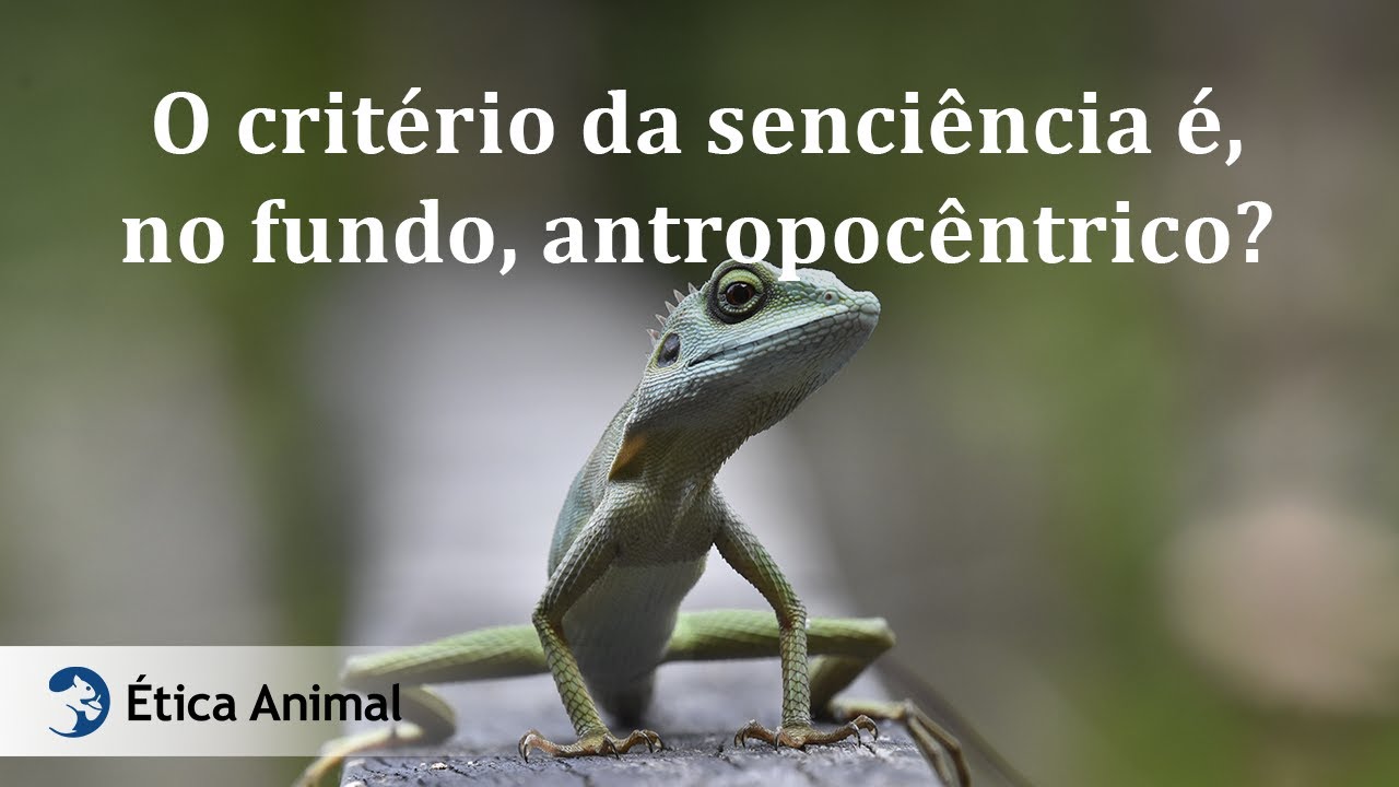 25 - O critério da senciência é, no fundo, antropocêntrico?