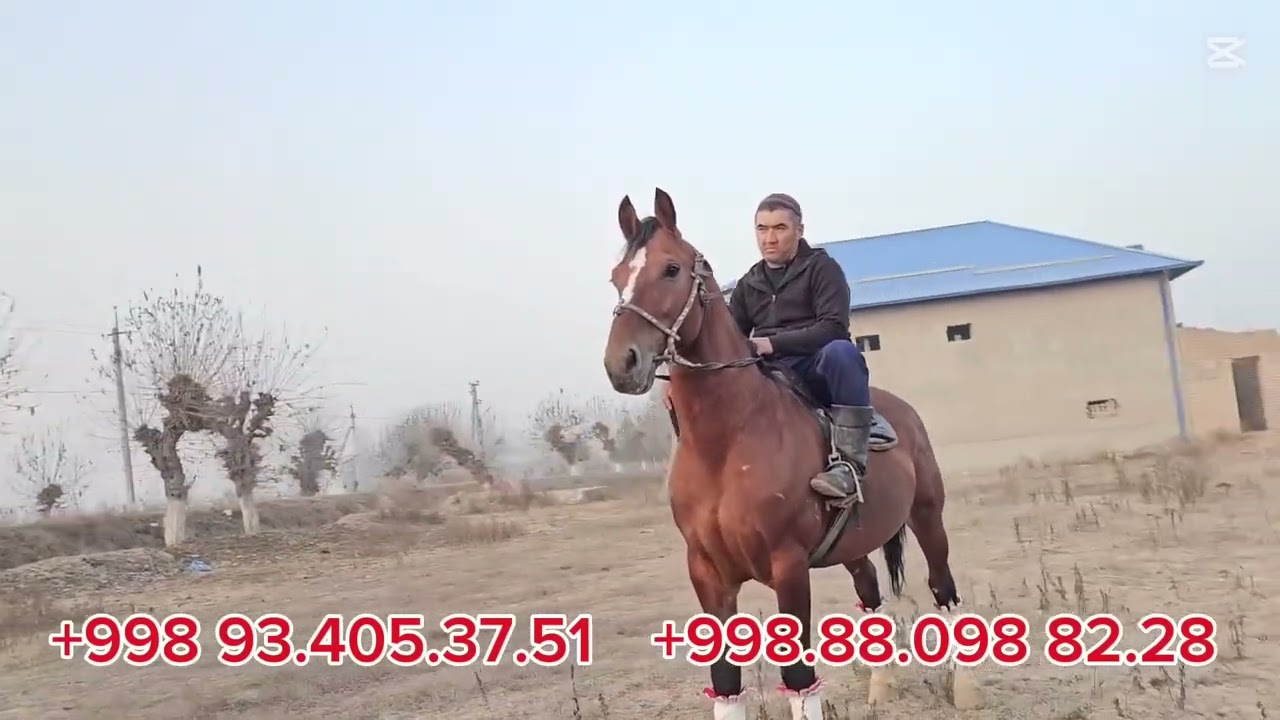 SOTILADI.  93 405 37 51