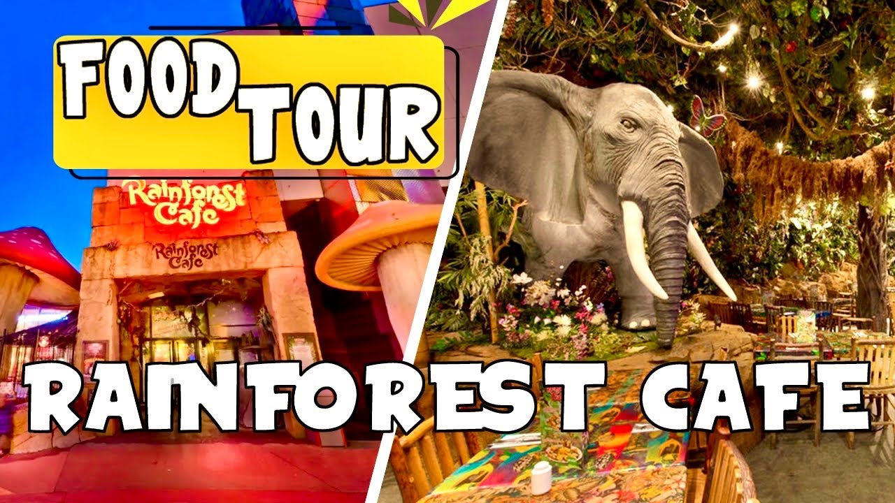 Le Rainforest Caf&eacute; &agrave; DISNEYLAND PARIS