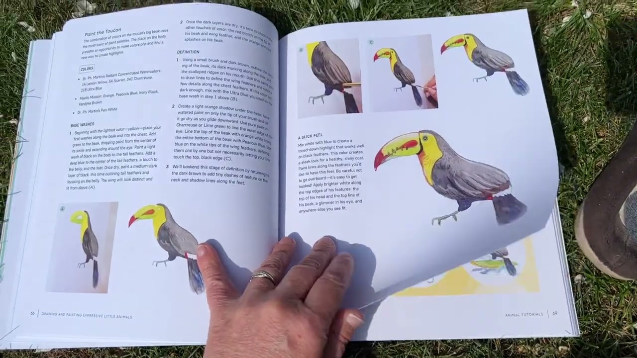 Drawing and painting expressive little animals , book Flip Through , Amarilys Henderson