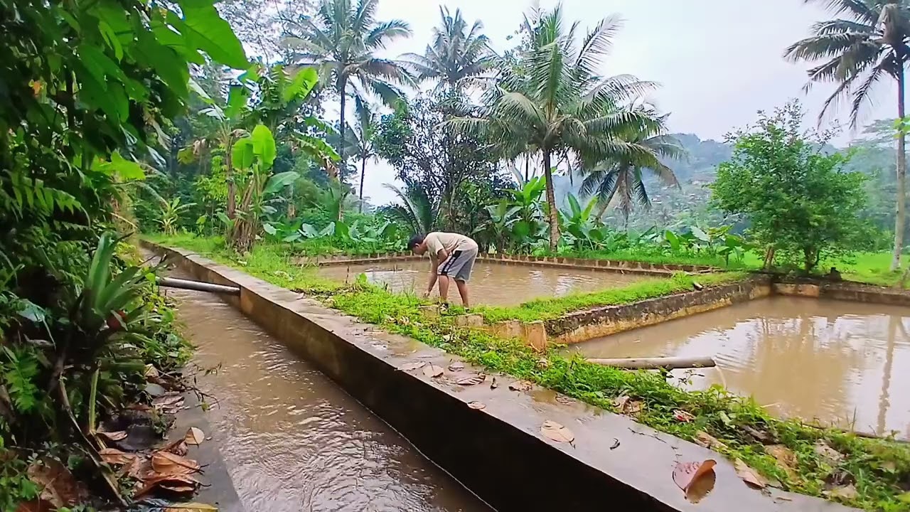 Jangan lihat yang sudah..perbaiki kedepan