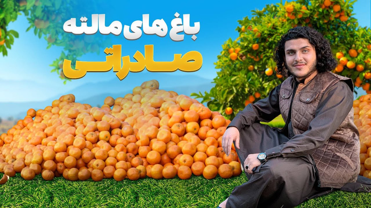 هی میدان طی میدان  -    دیدار باسط ایرج از باغ های مالته صادراتی در ولایت ننگرهار