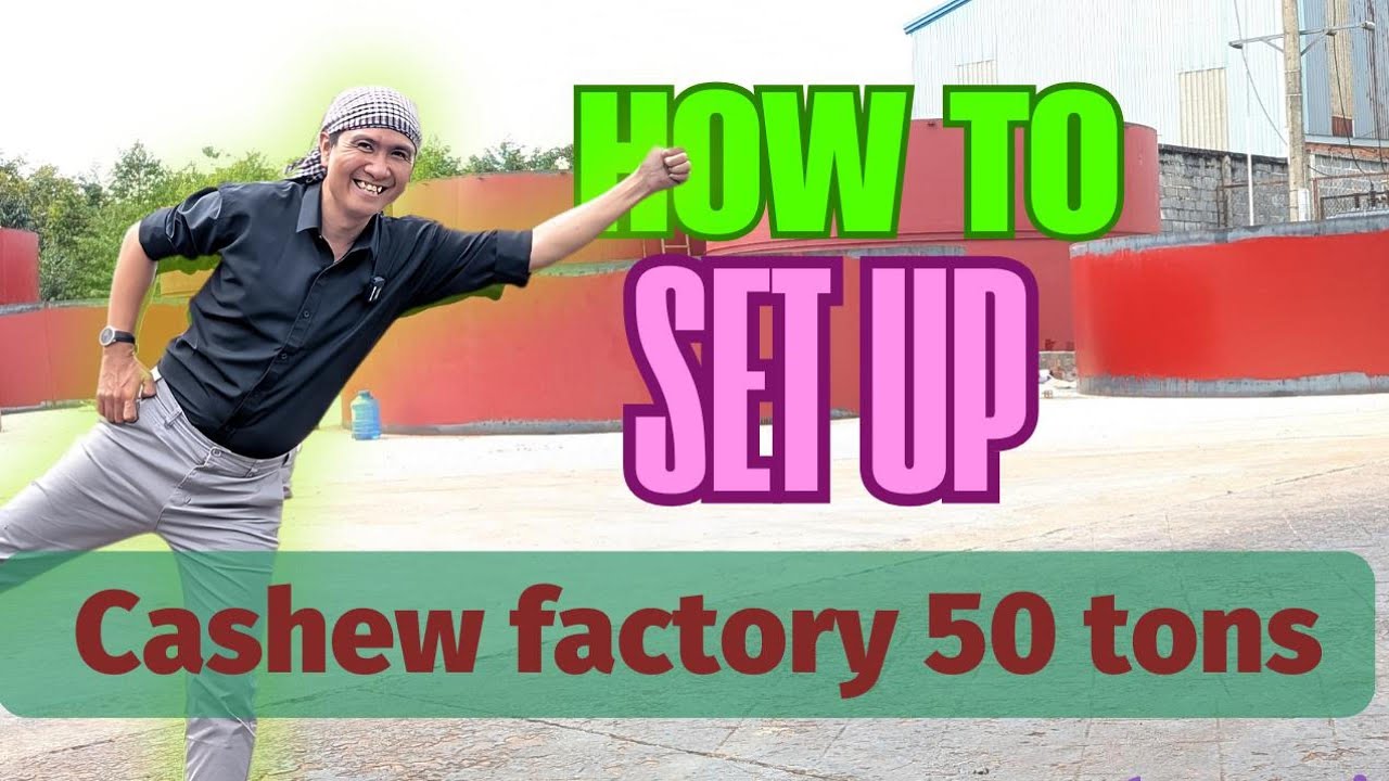 How to Set Up a 50-Ton Per Day Cashew Processing Factory