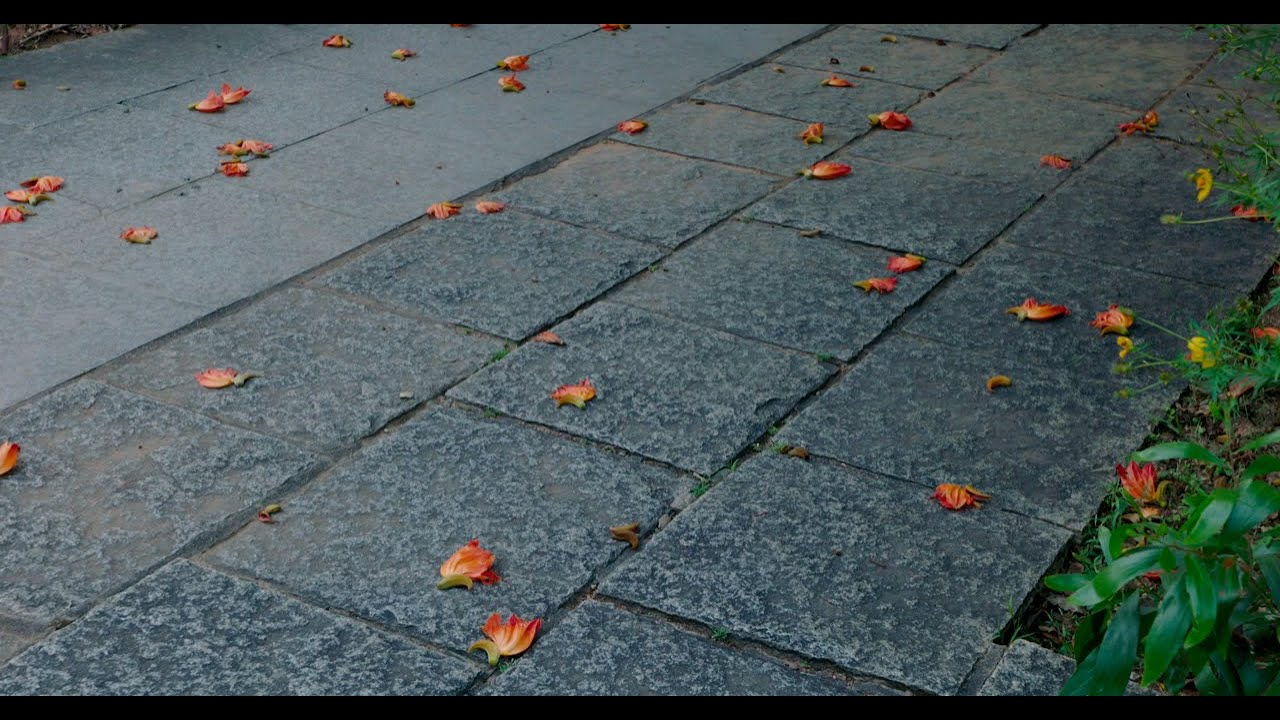 Doshi – Teaser