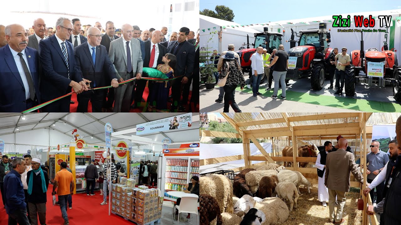 Début Du Salon De L’élevage Et La Production Laitière à Tizi-Ouzou En Présence Du Ministre … Détails