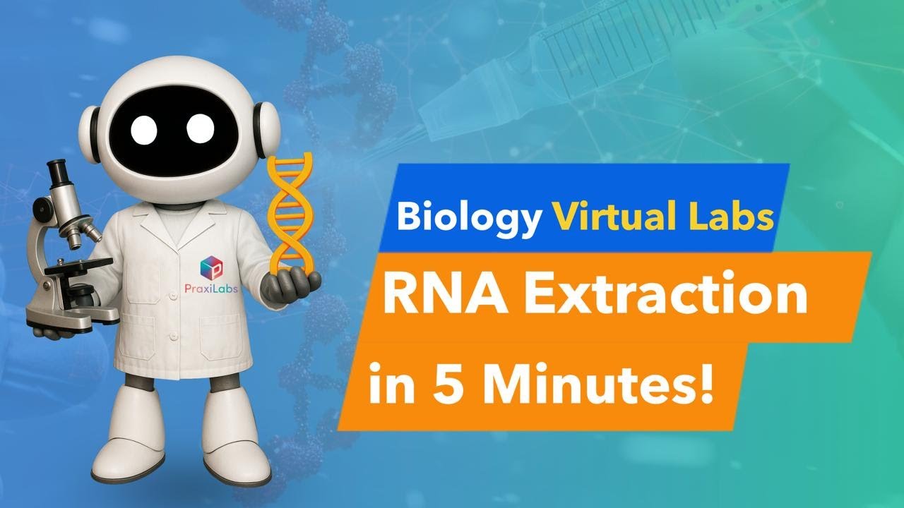 Extraction Of RNA - Biology Virtual Lab l PraxiLabs