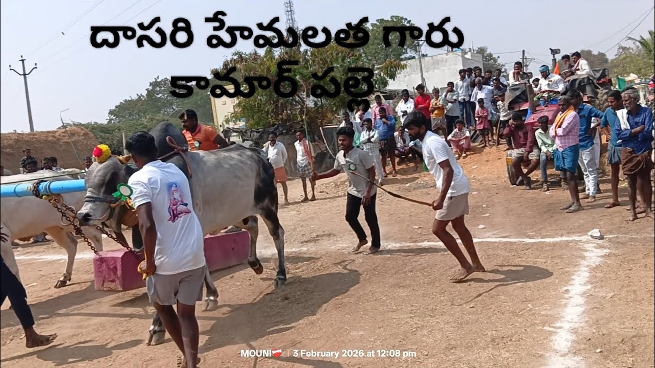 దాసరి హేమలత గారు కామర్ పల్లె 😈🐘..భీమ