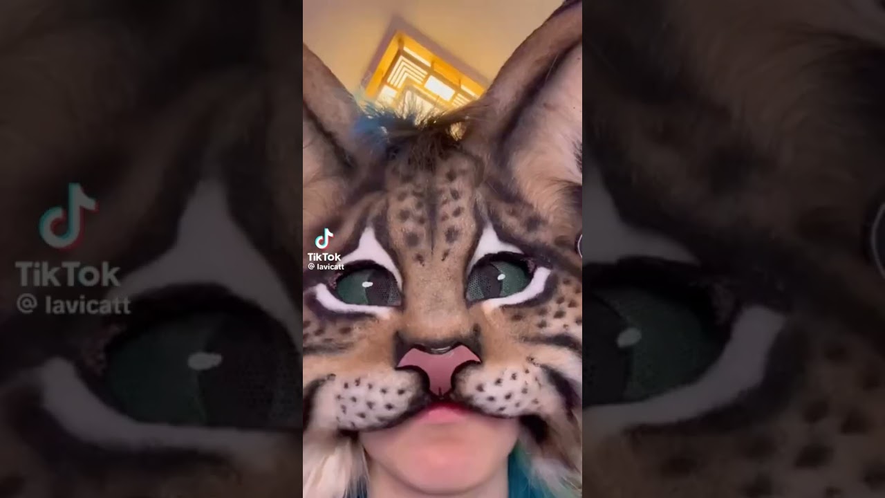 Therian/othopaw/furry tiktoks I give CREDIT ★★★😛