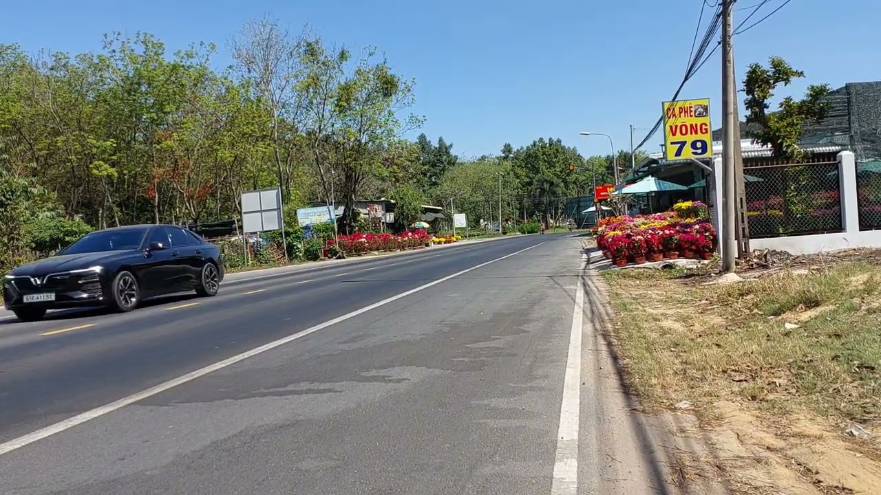 Xuân đã đến rồi, trên đường đầy hoa tết 