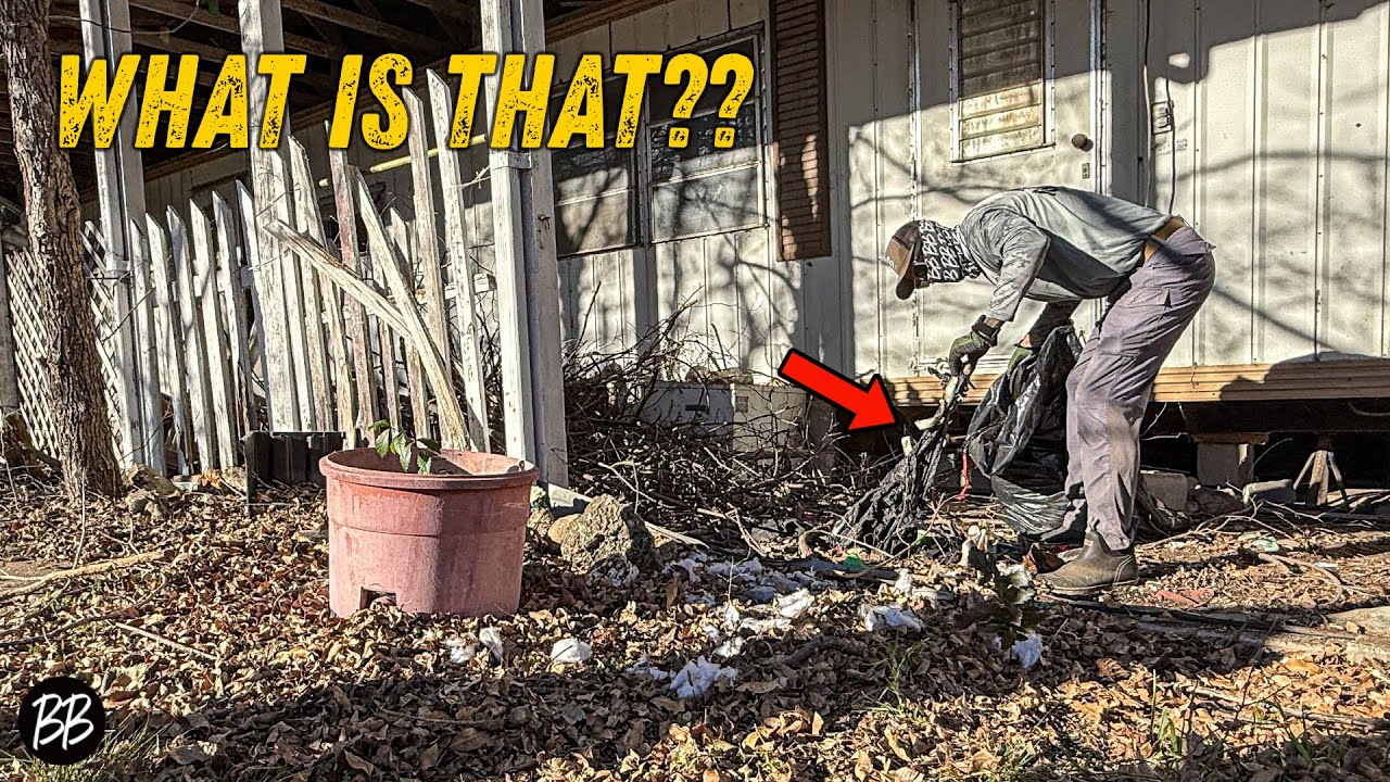 You Won't Believe what SQUATTERS did to this Widow 🫣
