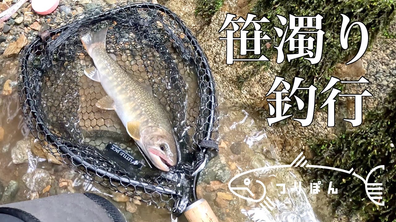 笹濁り釣行【渓流釣り】