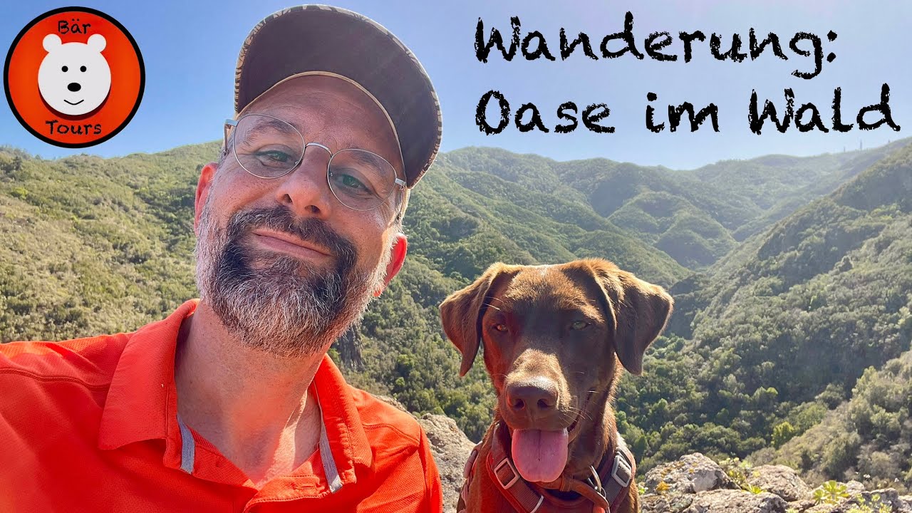 Teneriffa: Wanderung Oase im Wald