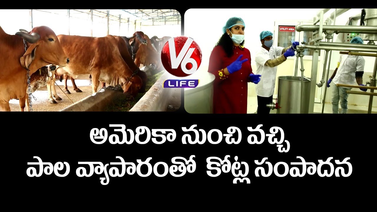 Absolute Milk Dairy Farm | Women Entrepreneur Deepya Reddy | V6 Life