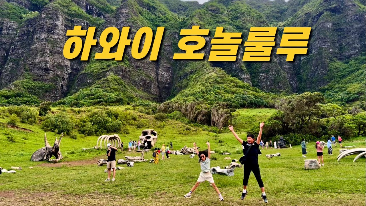 하와이 오하우섬, 추천 vs 비추천 체험 (쿠알로아렌치 무비투어, 씨라이프 파크 돌핀 알로하, 와이키키 해변, 야시장) - 하와이 가족여행 브이로그 (4)