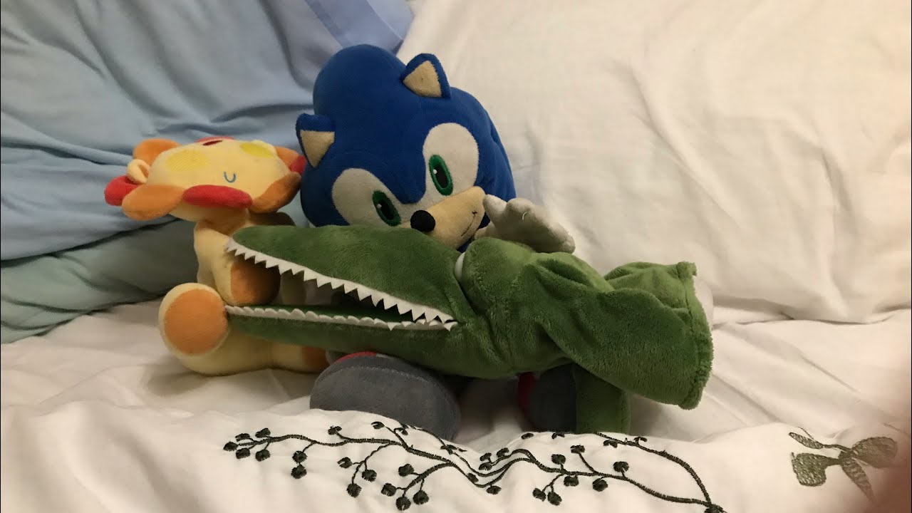 Sonics pet