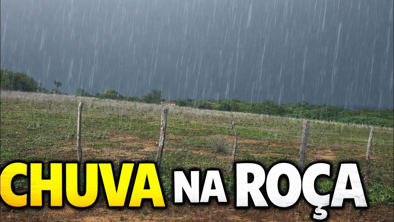 A ROÇA AGRADECE! CHUVA CAINDO NO SÍTIO 🌧️🙏 #chuvanaroça #sitio #natureza