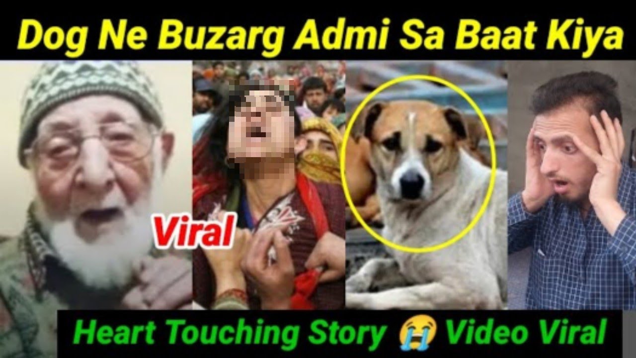 Dog Ne Buzarg Admi Sa Baat Kiya ll Heart Touching Story 😭 Pori Kashmir Ma Video Viral