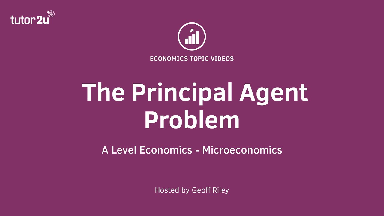 The Principal Agent Problem I A Level and IB Economics