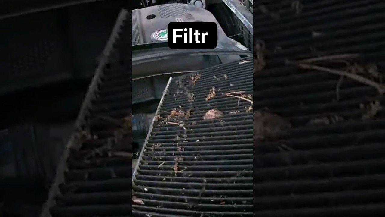 Taki zapchany filtr powietrza. Jak te auto miało jeździć?