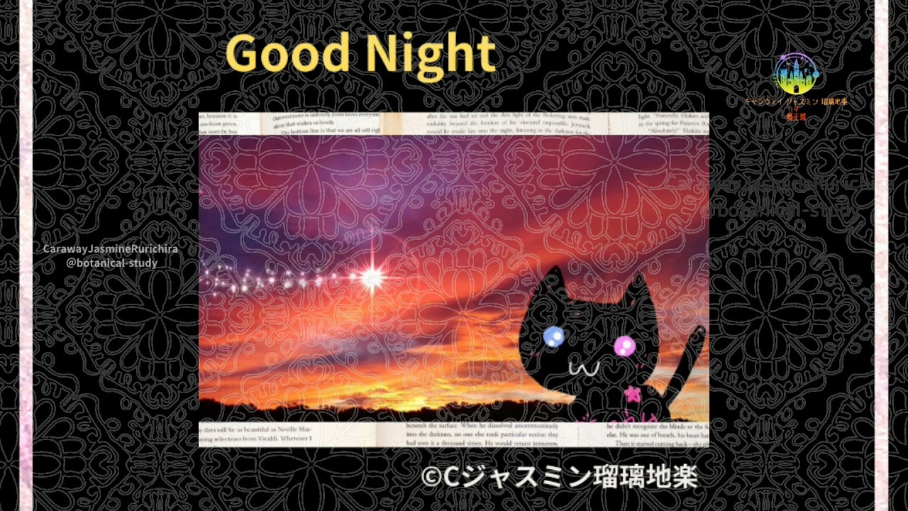 【おやすみなさい】夜空とネコのグッドナイト🌙✨#Shorts #aroma YE1 016