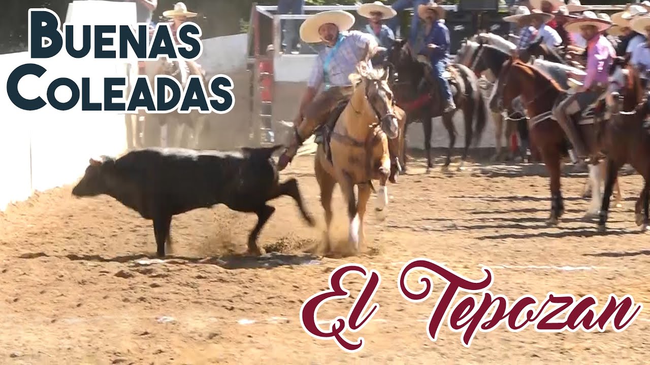 BUENAS COLEADAS - Rancho El Tepozan - Capron, IL