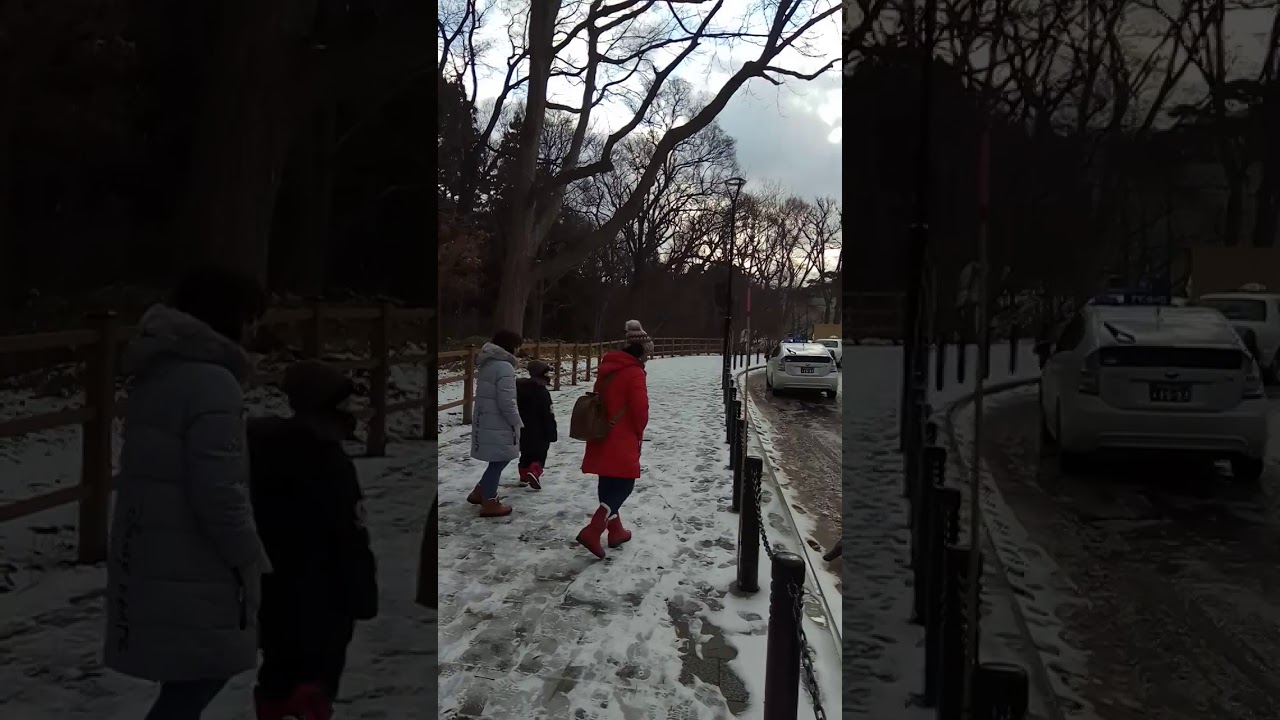 Maruyama Zoo , Sapporo December 2019