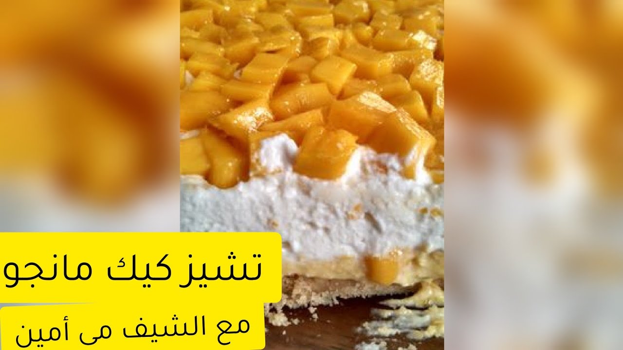 تشيز كيك مانجو مع الشيف مى أمين