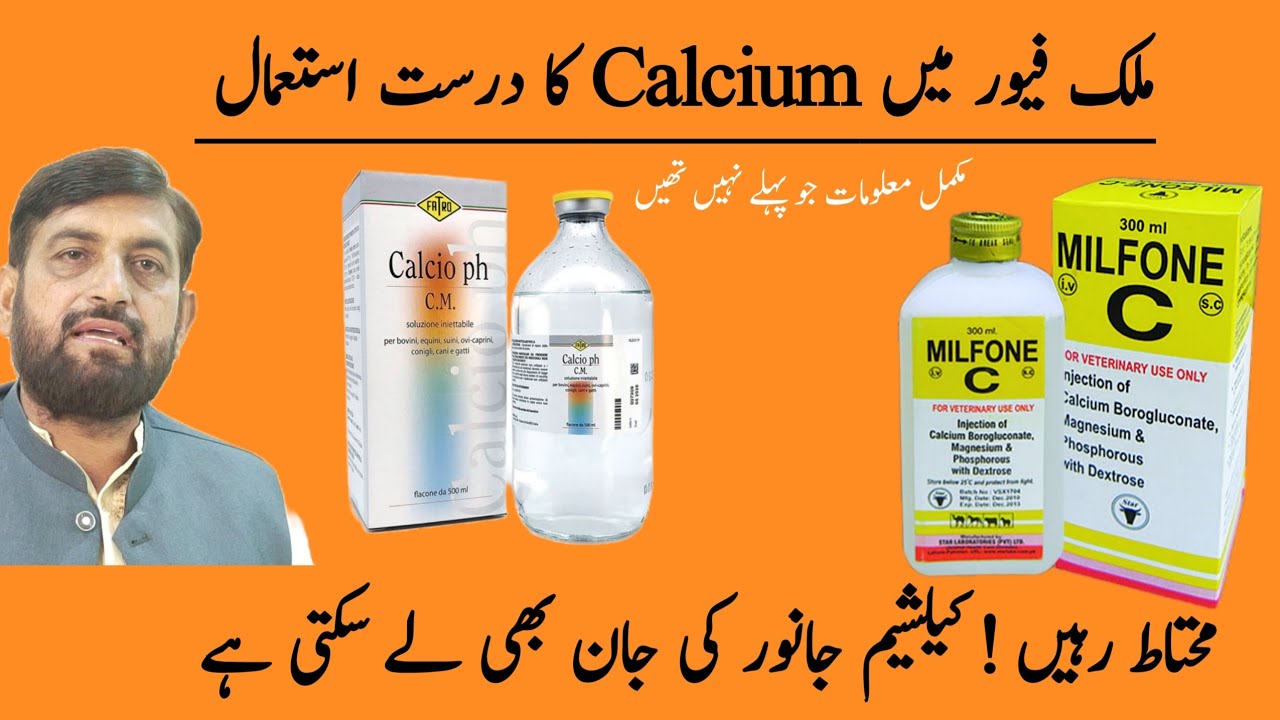 Milk Fever - کیلشیم کتنی لگائیں | Best Calcium کون سی ہے | Why Animals Died During Calcium Therapy