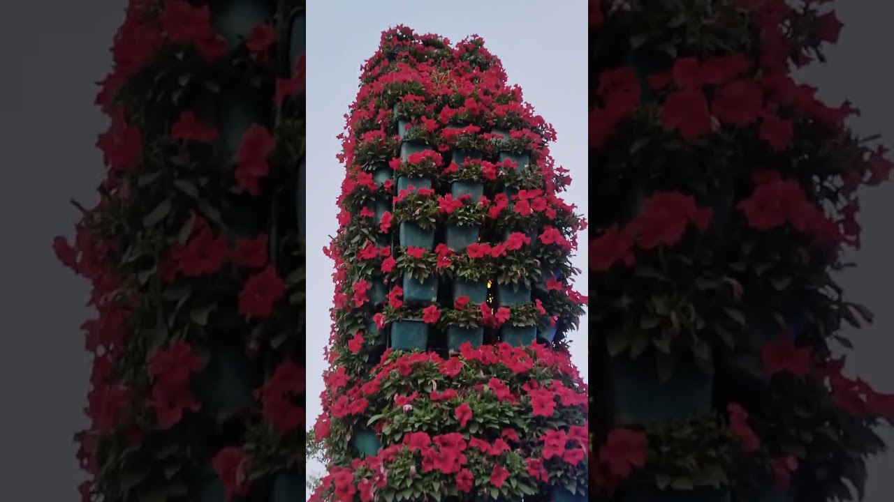 ফুলের রাজ্যে স্বাগতম #