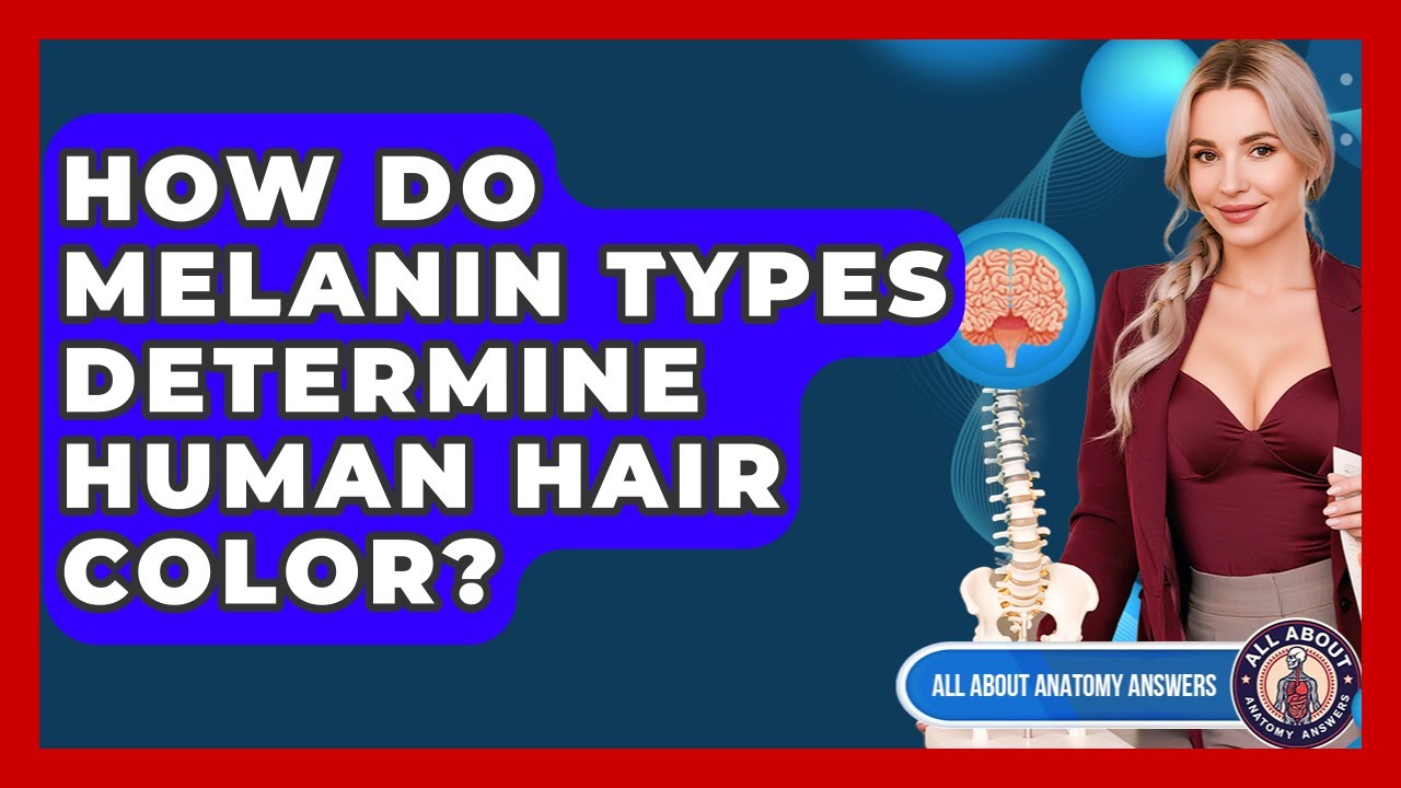 How Do Melanin Types Determine Human Hair Color? - All About Anatomy Answers