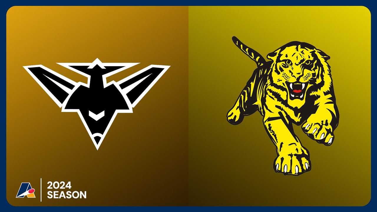 Brighton v Broadview: Round 9 Season 2024 - Adelaide Footy League