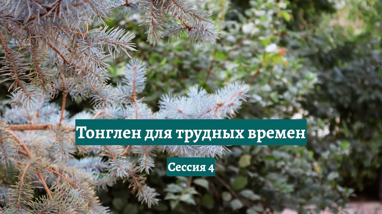 Тонглен для трудных времен (сессия 4)