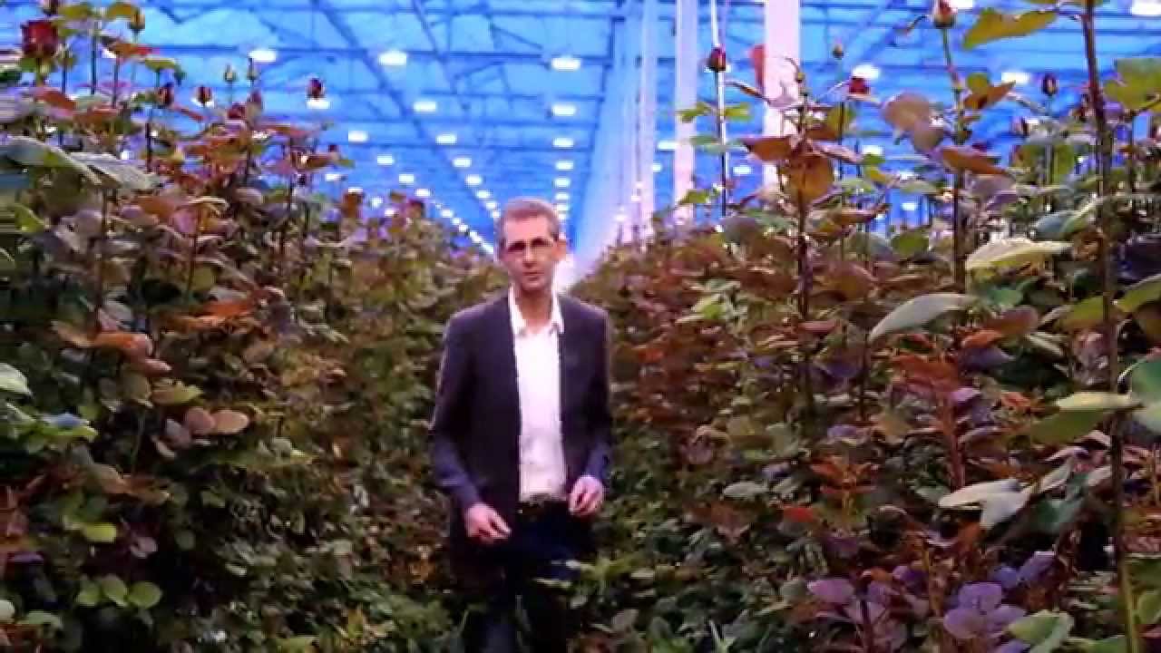 Unie van Waterschappen - Aqua Reuse
