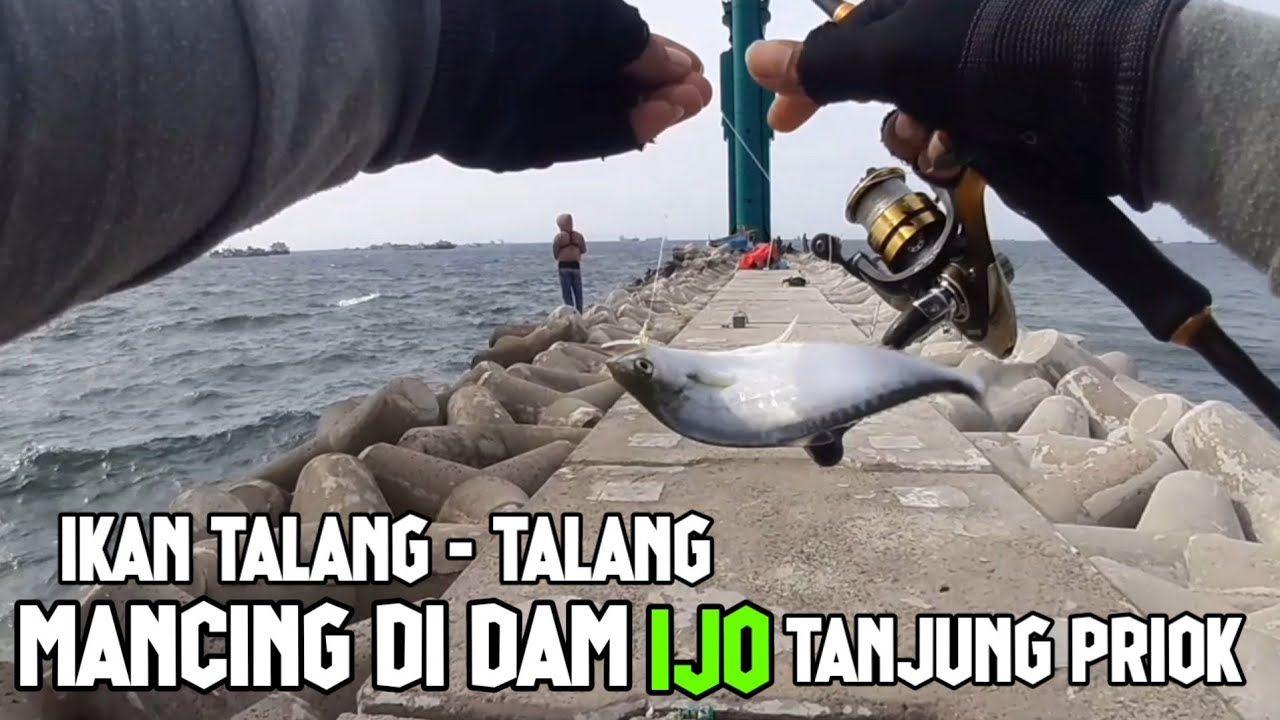 Dam ijo Tanjung priok - Mancing Ngotrek ikan Talang Talang - Mancing Dasaran