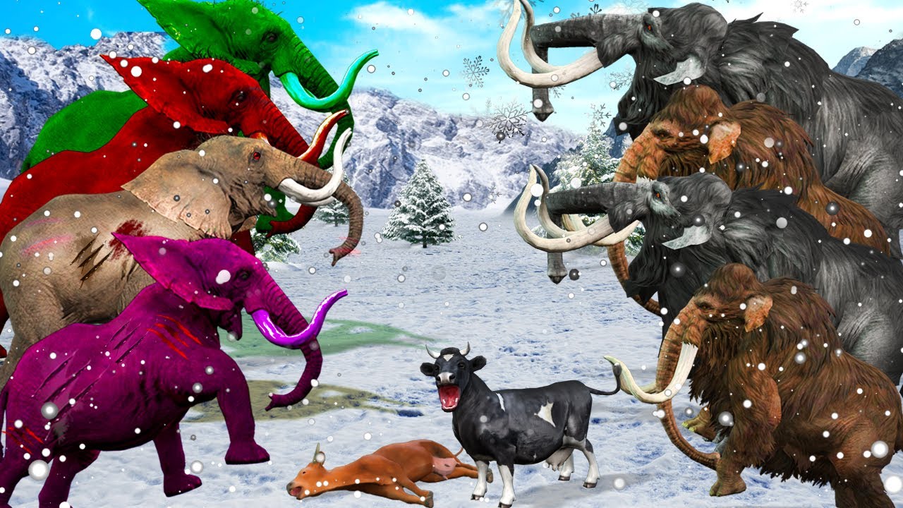 10 Zombie Elephants Attack Cow Cartoon and Giant Bulls Saved by 5 Woolly Mammoths Vs Giant Elephants