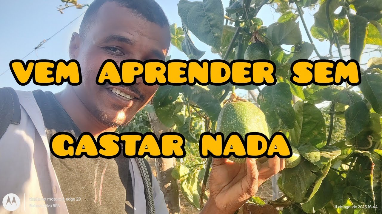 APRENDA A FAZER ADULBO CASEIRO PRO PLANTIO DO MARACUJÁ 