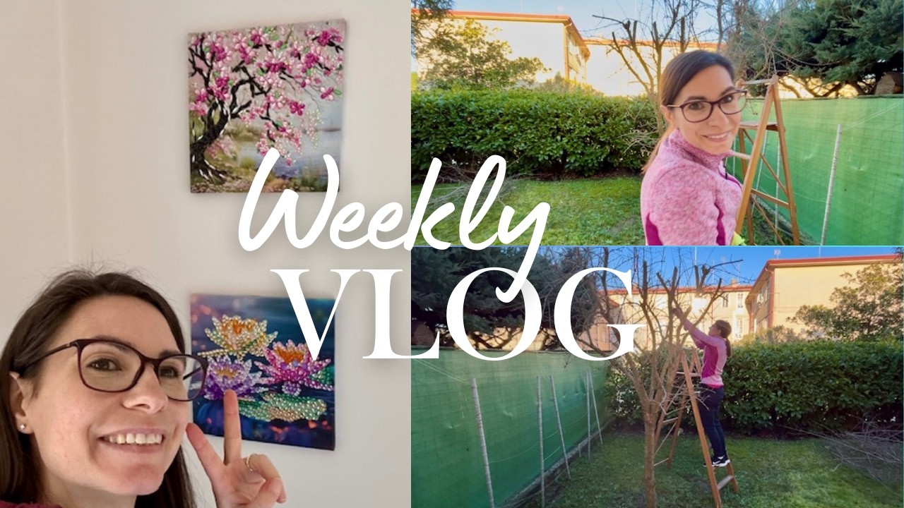 Poto (massacro) il melograno | Appendo quadri | Acquisti Tigotà + sorpresa || WEEKLY VLOG