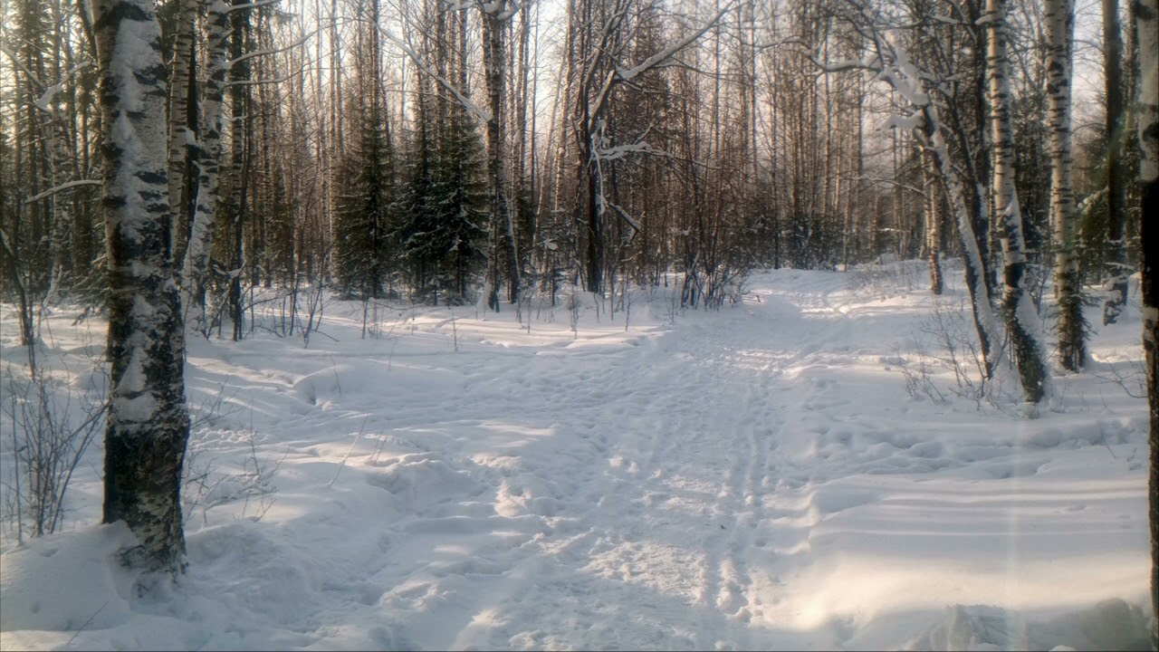 Качканар Звуки Зимы 06.01.2025
